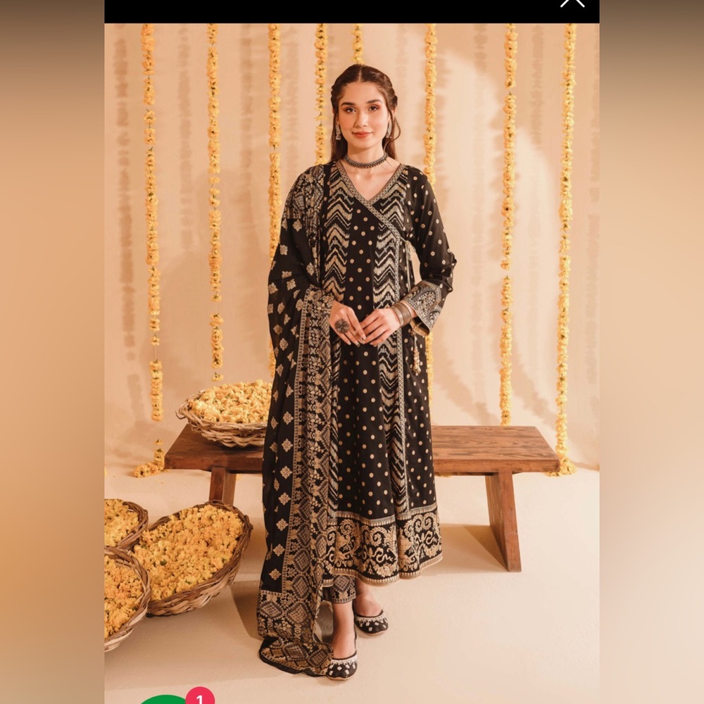 3 piece Indian/Pakistani Suit